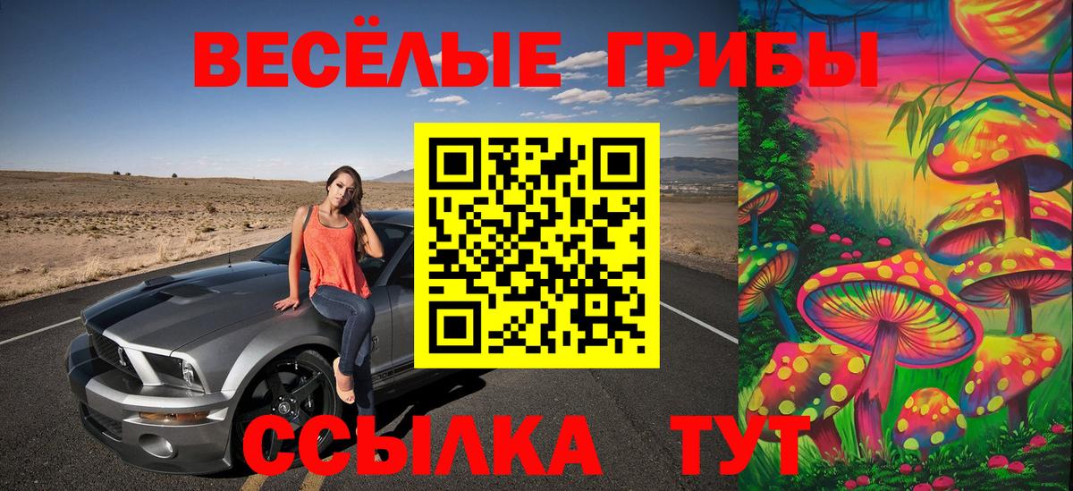 Псилоцибиновые грибы Psilocybine cubensis  Псилоцибиновые грибы MAGIC MUSHROOMS  Коммунар  Вход с VPN 